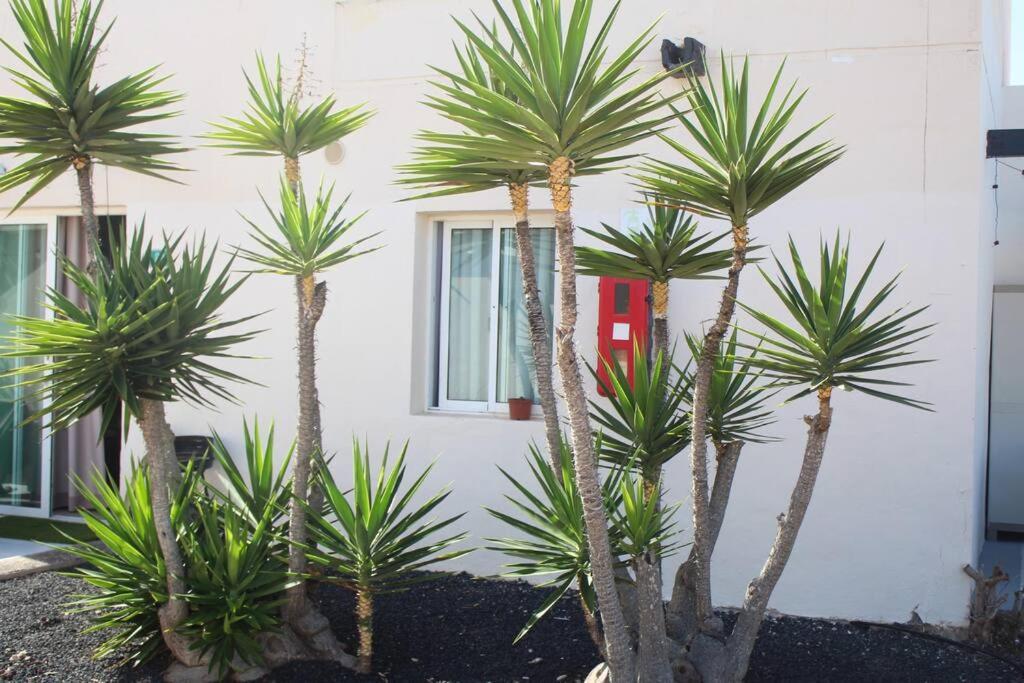 Pachi Alisios Playa Appartement Corralejo